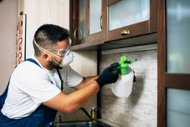 Best Pest Inspection Near Me  in Clovis, CA