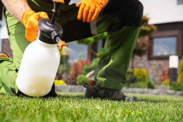 Best Best Pest Control Companies  in Clovis, CA