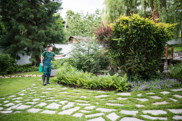 Best Pest Control for Homes  in Clovis, CA