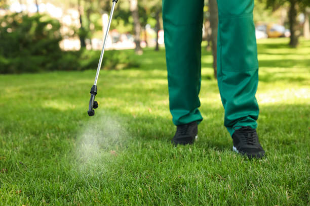 Best Exterminator Services  in Clovis, CA
